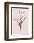 Wheat-Design Fabrikken-Framed Art Print