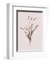 Wheat-Design Fabrikken-Framed Art Print