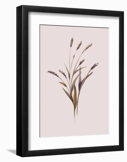 Wheat-Design Fabrikken-Framed Art Print