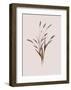 Wheat-Design Fabrikken-Framed Art Print