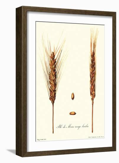 Wheat-Philippe-Victoire Leveque de Vilmorin-Framed Art Print