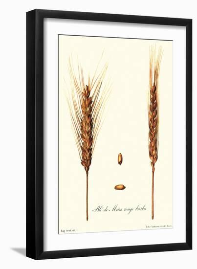 Wheat-Philippe-Victoire Leveque de Vilmorin-Framed Art Print