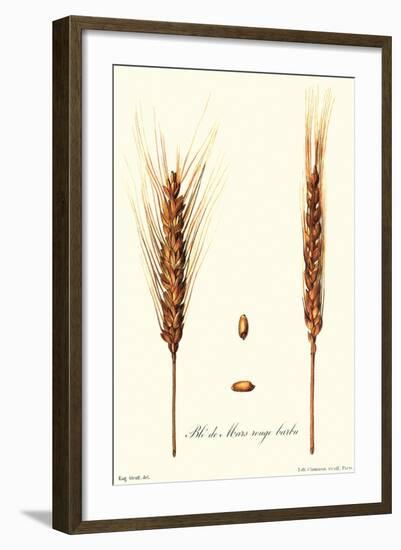 Wheat-Philippe-Victoire Leveque de Vilmorin-Framed Art Print