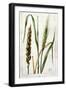 Wheat-Marguerite Buret-Framed Giclee Print