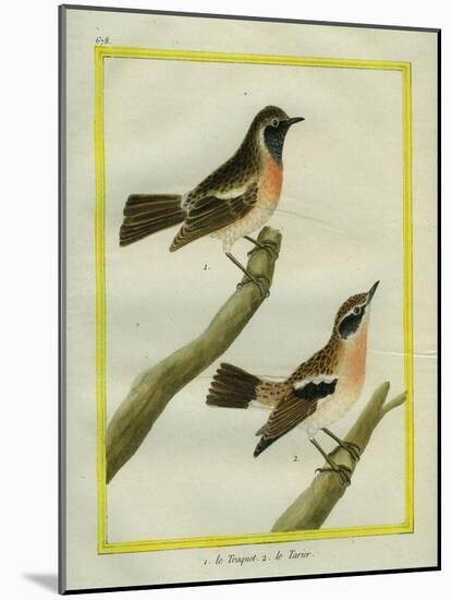 Wheatear and Whinchat-Georges-Louis Buffon-Mounted Giclee Print