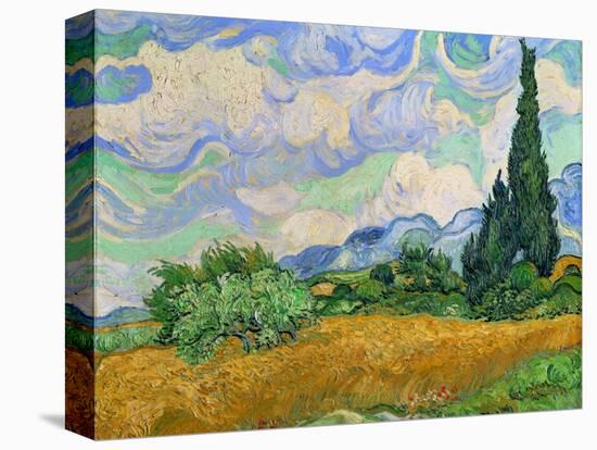 Wheatfield and cypress trees, Saint-Remy-de-Provence. Oil on canvas (1889) 73 x 93.5 cm.-Vincent van Gogh-Stretched Canvas
