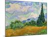 Wheatfield and cypress trees, Saint-Remy-de-Provence. Oil on canvas (1889) 73 x 93.5 cm.-Vincent van Gogh-Mounted Giclee Print