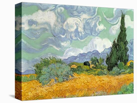 Wheatfield with Cypresses, 1889-Vincent van Gogh-Stretched Canvas