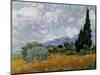 Wheatfield with Cypresses, 1889-Vincent van Gogh-Mounted Giclee Print