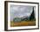 Wheatfield with Cypresses, 1889-Vincent van Gogh-Framed Giclee Print