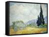 Wheatfield with Cypresses, 1889-Vincent van Gogh-Framed Stretched Canvas