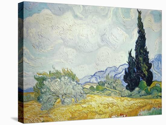 Wheatfield with Cypresses, 1889-Vincent van Gogh-Stretched Canvas