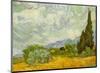 Wheatfield with Cypresses, c.1889-Vincent van Gogh-Mounted Art Print