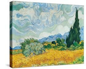 Wheatfield with Cypresses, c.1889-Vincent van Gogh-Stretched Canvas