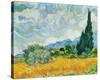 Wheatfield with Cypresses, c.1889-Vincent van Gogh-Stretched Canvas