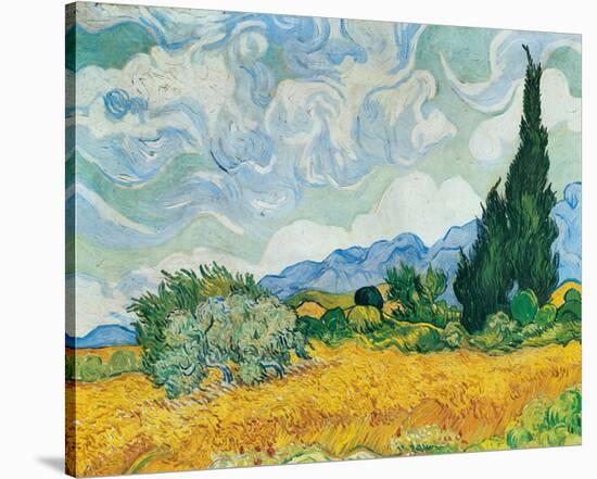 Wheatfield with Cypresses, c.1889-Vincent van Gogh-Stretched Canvas