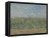 Wheatfield with Partridge, 1887-Vincent van Gogh-Framed Stretched Canvas