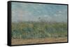 Wheatfield with Partridge. Date: June-July 1887, Paris. Dimensions: 53.7 cm x 65.2 cm, 71.5 cm x...-VINCENT VAN GOGH-Framed Stretched Canvas