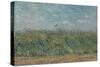 Wheatfield with Partridge. Date: June-July 1887, Paris. Dimensions: 53.7 cm x 65.2 cm, 71.5 cm x...-VINCENT VAN GOGH-Stretched Canvas