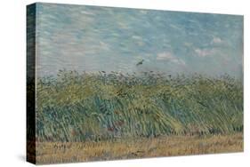 Wheatfield with Partridge. Date: June-July 1887, Paris. Dimensions: 53.7 cm x 65.2 cm, 71.5 cm x...-VINCENT VAN GOGH-Stretched Canvas