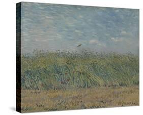 Wheatfield With Partridge-Vincent Van Gogh-Stretched Canvas