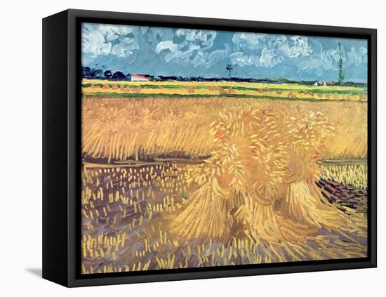 Wheatfield with Sheaves, 1888-Vincent van Gogh-Framed Stretched Canvas