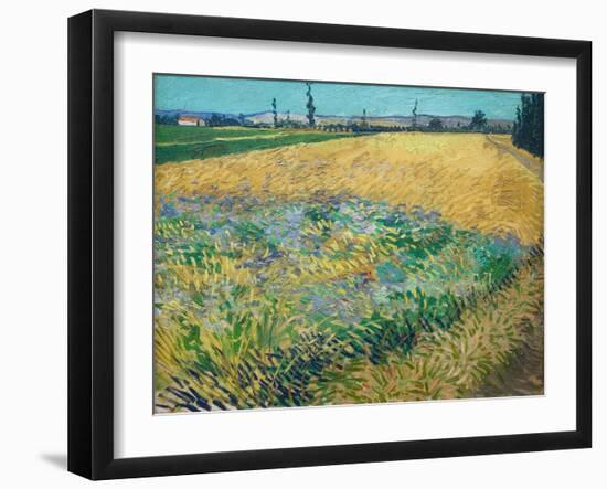 Wheatfield-Vincent van Gogh-Framed Giclee Print