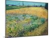 Wheatfield-Vincent van Gogh-Mounted Giclee Print