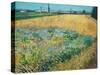 Wheatfield-Vincent van Gogh-Stretched Canvas