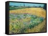 Wheatfield-Vincent van Gogh-Framed Stretched Canvas