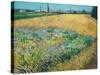 Wheatfield-Vincent van Gogh-Stretched Canvas