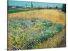 Wheatfield-Vincent van Gogh-Stretched Canvas