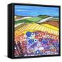 Wheatfields in Scotland-Caroline Duncan-Framed Stretched Canvas