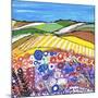 Wheatfields in Scotland-Caroline Duncan-Mounted Giclee Print