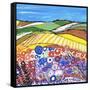 Wheatfields in Scotland-Caroline Duncan-Framed Stretched Canvas