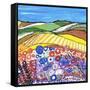 Wheatfields in Scotland-Caroline Duncan-Framed Stretched Canvas