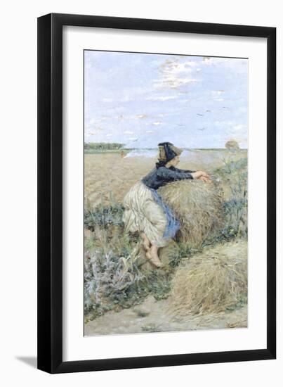 Wheatgrass in Tombolo, 1894-Niccolo Cannicci-Framed Giclee Print