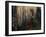 Wheel Besides Barn, Drury Place, Weston, Vermont, USA-Scott T. Smith-Framed Photographic Print