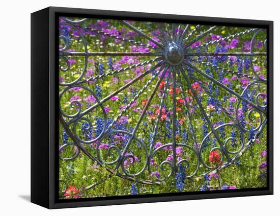 Wheel Gate and Fence with Blue Bonnets, Indian Paint Brush and Phlox, Near Devine, Texas, USA-Darrell Gulin-Framed Stretched Canvas