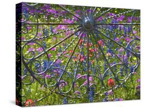 Wheel Gate and Fence with Blue Bonnets, Indian Paint Brush and Phlox, Near Devine, Texas, USA-Darrell Gulin-Stretched Canvas
