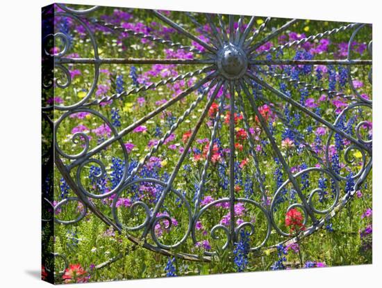 Wheel Gate and Fence with Blue Bonnets, Indian Paint Brush and Phlox, Near Devine, Texas, USA-Darrell Gulin-Stretched Canvas