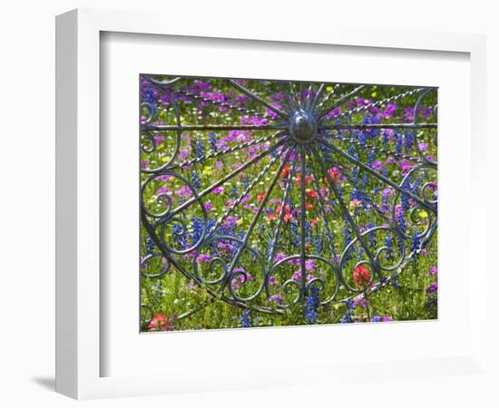 Wheel Gate and Fence with Blue Bonnets, Indian Paint Brush and Phlox, Near Devine, Texas, USA-Darrell Gulin-Framed Photographic Print