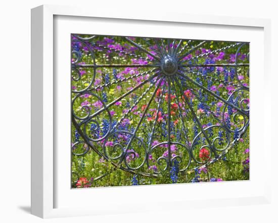 Wheel Gate and Fence with Blue Bonnets, Indian Paint Brush and Phlox, Near Devine, Texas, USA-Darrell Gulin-Framed Photographic Print