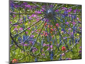 Wheel Gate and Fence with Blue Bonnets, Indian Paint Brush and Phlox, Near Devine, Texas, USA-Darrell Gulin-Mounted Photographic Print