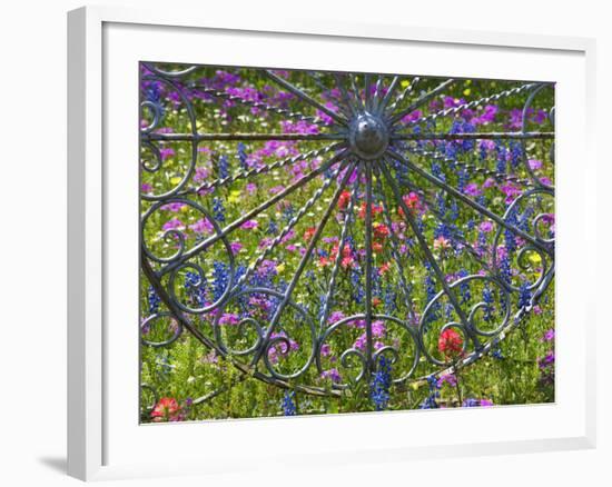 Wheel Gate and Fence with Blue Bonnets, Indian Paint Brush and Phlox, Near Devine, Texas, USA-Darrell Gulin-Framed Photographic Print