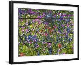 Wheel Gate and Fence with Blue Bonnets, Indian Paint Brush and Phlox, Near Devine, Texas, USA-Darrell Gulin-Framed Photographic Print