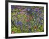 Wheel Gate and Fence with Blue Bonnets, Indian Paint Brush and Phlox, Near Devine, Texas, USA-Darrell Gulin-Framed Photographic Print