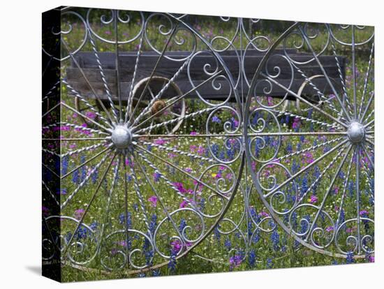 Wheel Gate and Fence with Blue Bonnets, Indian Paint Brush and Phlox, Near Devine, Texas, USA-Darrell Gulin-Stretched Canvas