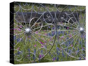 Wheel Gate and Fence with Blue Bonnets, Indian Paint Brush and Phlox, Near Devine, Texas, USA-Darrell Gulin-Stretched Canvas