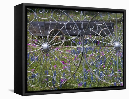 Wheel Gate and Fence with Blue Bonnets, Indian Paint Brush and Phlox, Near Devine, Texas, USA-Darrell Gulin-Framed Stretched Canvas